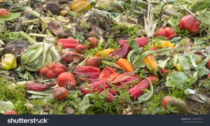 Nigeria to Boost Economy Using Agricultural Waste Products